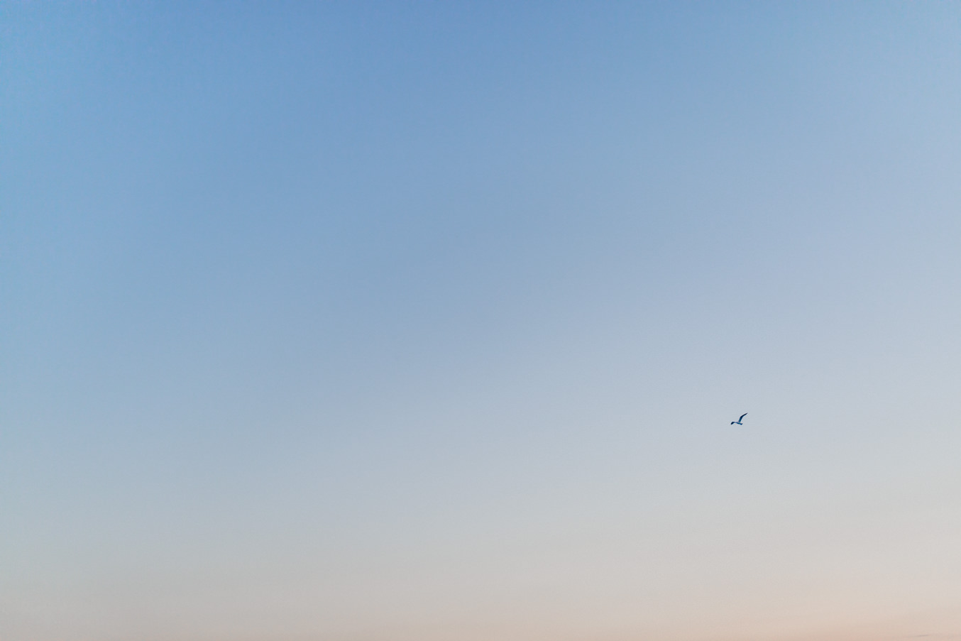 Italy_Wedding_Photographer_Bina_Terre_211015