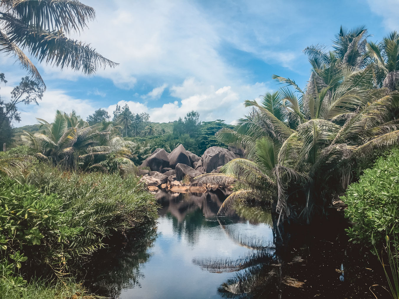 Seychellen_7464 Seychellen_7464