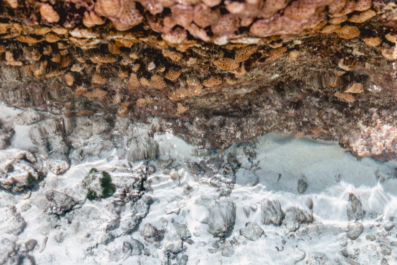 Seychellen_7500 Seychellen_7500