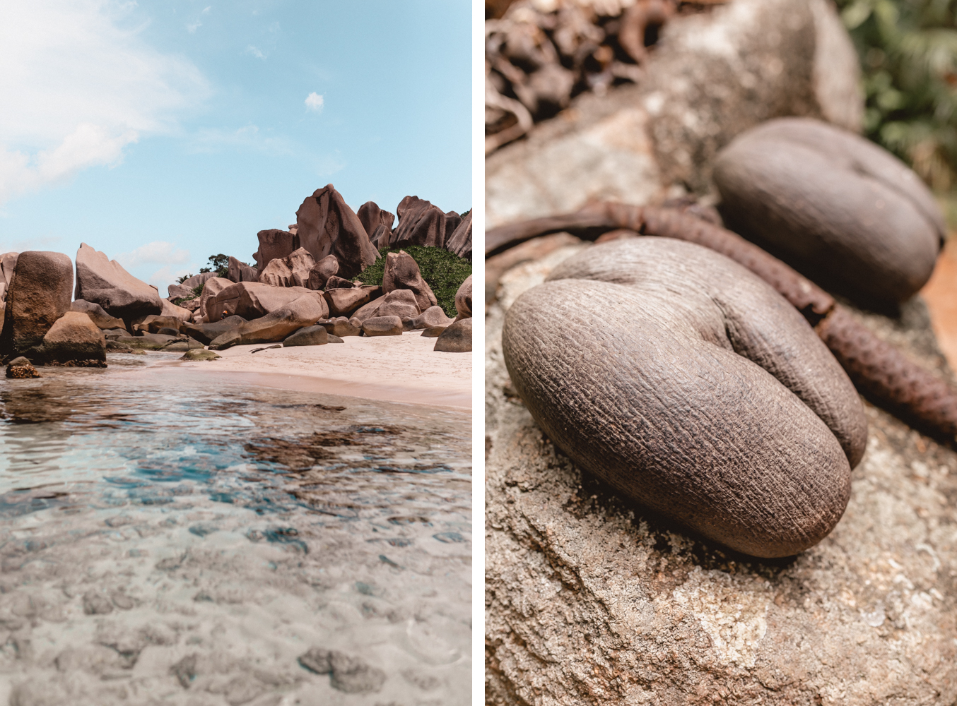 Seychellen_7791 Seychellen_7791