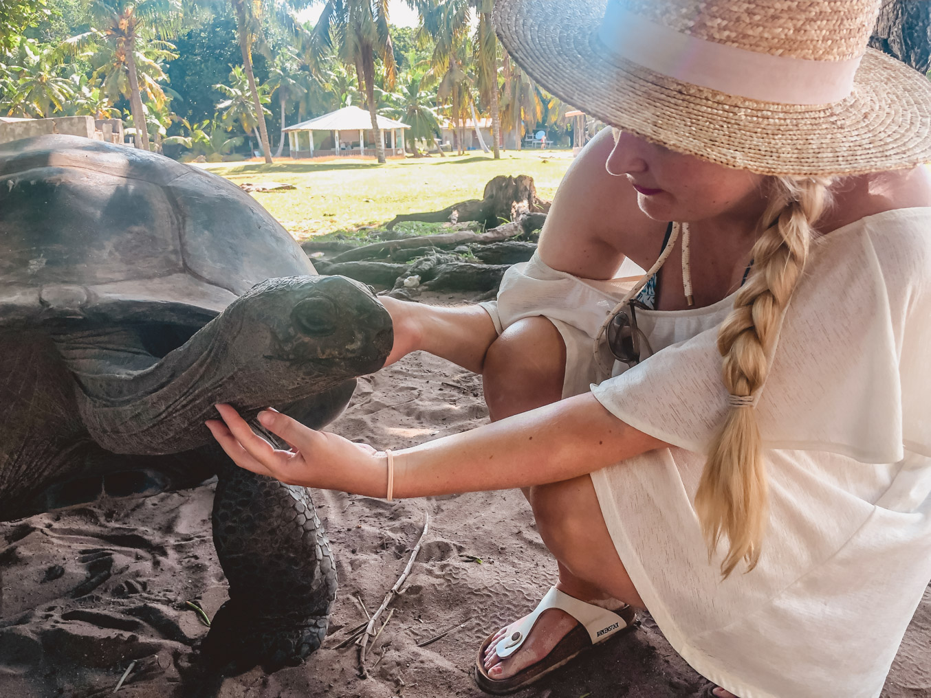 Seychellen_4905 Seychellen_4905