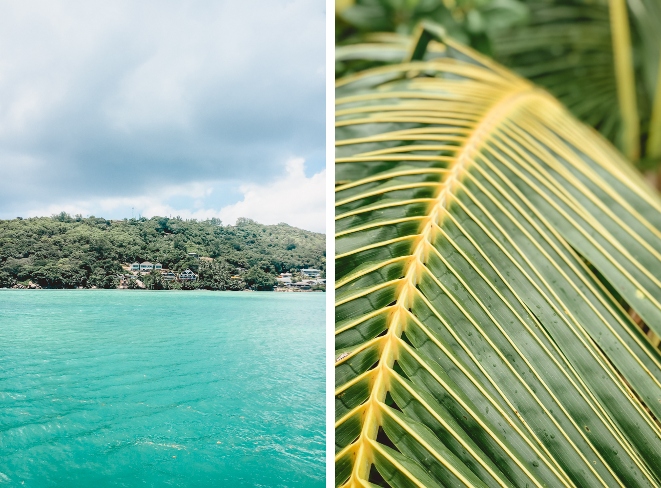 Seychellen_6999 Seychellen_6999