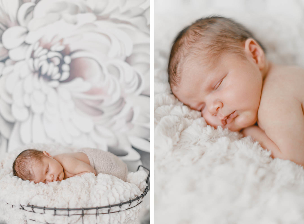 Fee_Marc_Familie_Newborn_5293 Fee_Marc_Familie_Newborn_5293