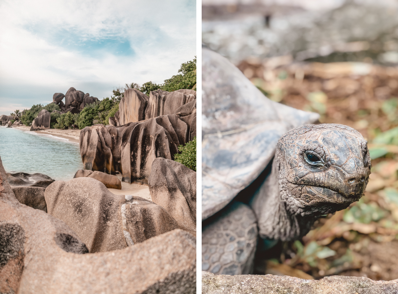 Seychellen_4499 Seychellen_4499