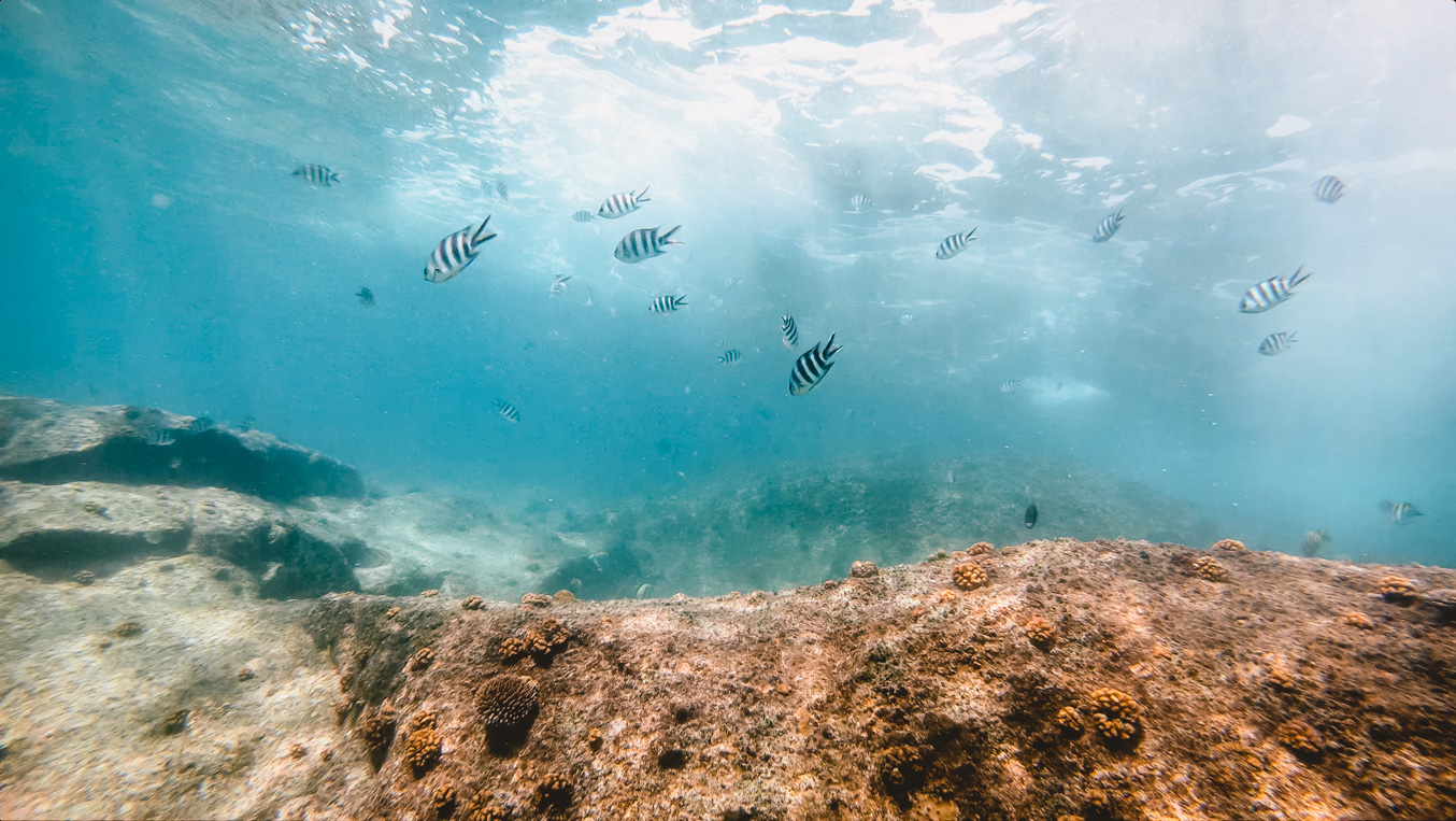 Seychellen_41 Seychellen_41