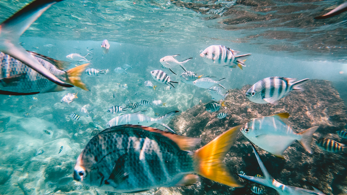Seychellen_45 Seychellen_45